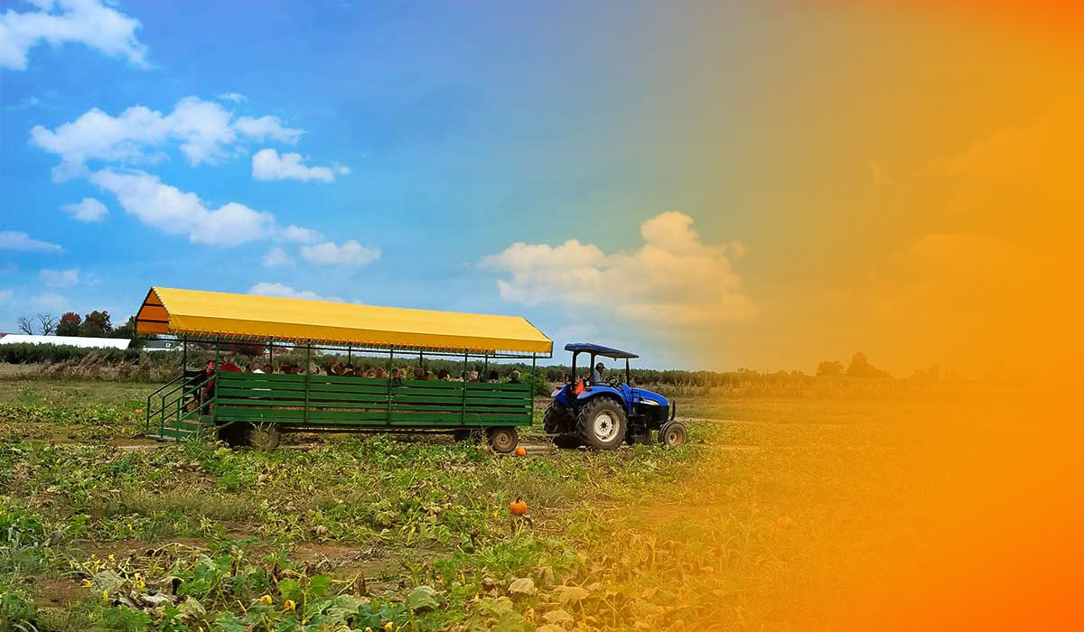 Educational School Tours to Livesay Orchards in Porter, Oklahoma