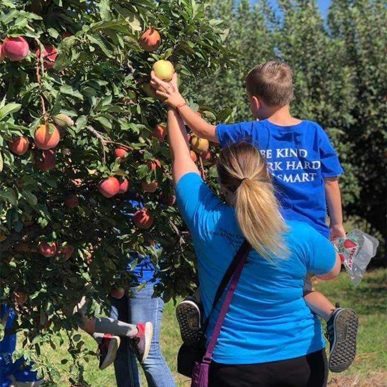 Pick your own apples at Livesay Orchards in Porter, OK.