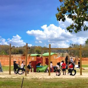 Kids will love the farm fun activities at Livesay Orchards in Porter, OK.