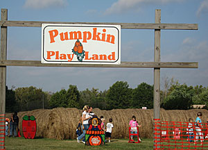 Visit the tons of activities we have at Pumpkin Play Land at Livesay Orchards in Porter, OK.