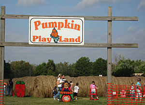 Explore the activities at our Pumpkin Play Land at Livesay Orchards in Porter, OK.